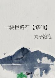 一块铺路石