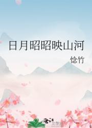 日月昭昭映山河