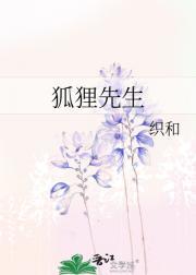 狐狸先生