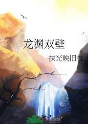 龙渊双壁
